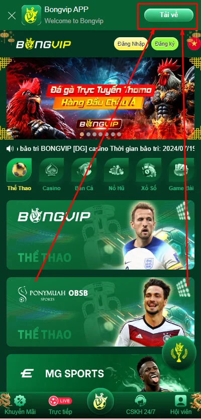 app-bongvip-3 app-bongvip-3