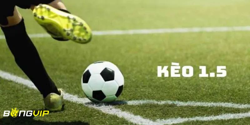 kèo chấp 1 1/2 Bật mí những kinh nghiệm chơi kèo chấp 1 1/2 cơ hội thắng lớn