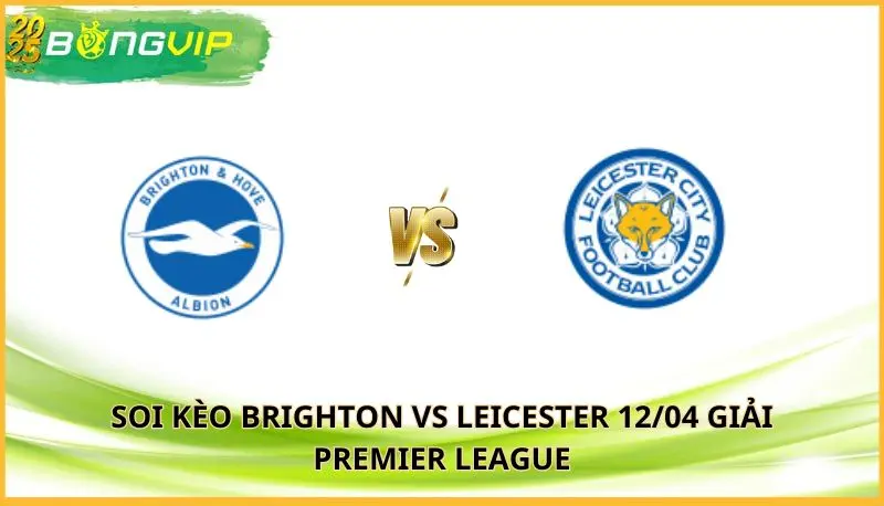 soi kèo Brighton vs Leicester