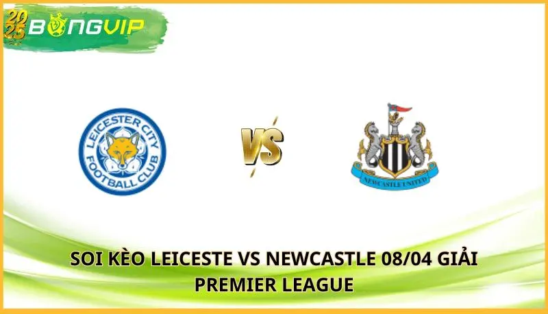 soi kèo Leiceste vs Newcastle