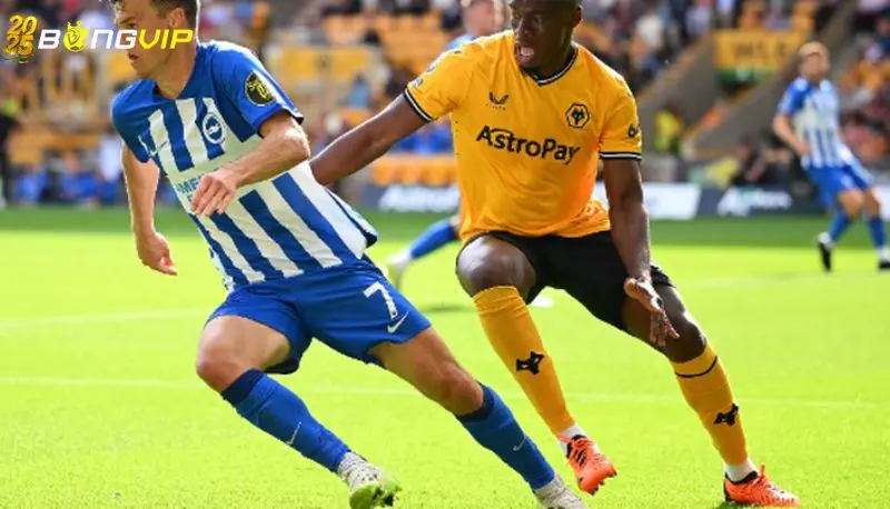 Soi kèo Wolves vs Brighton 10/05 giải đấu Premier League Phong độ Brighton tại soi kèo Wolves vs Brighton